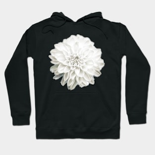 Dramatic Dahlia Hoodie